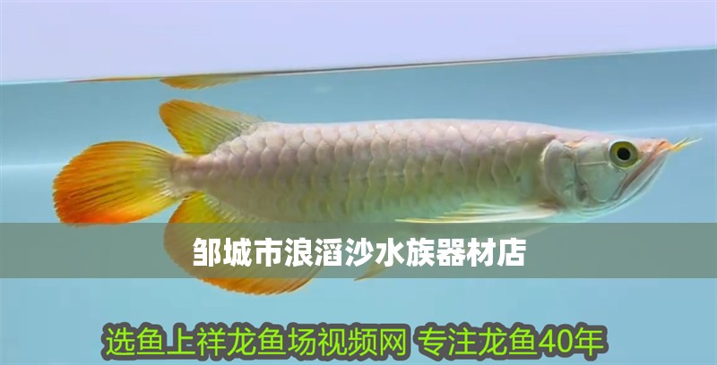 鄒城市浪滔沙水族器材店