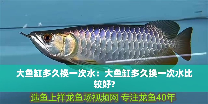 大魚缸多久換一次水:大魚缸多久換一次水比較好? 龍魚百科 第1張 大魚缸多久換一次水:大魚缸多久換一次水比較好? 大魚缸多久換一次水:大魚缸多久換一次水比較好? 龍魚百科 第1張