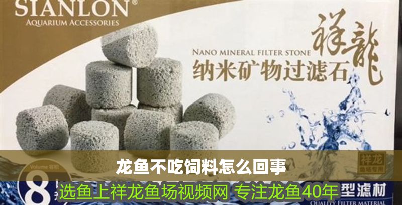 龍魚不吃飼料怎么回事