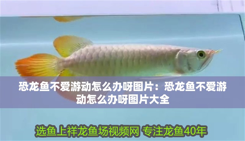 老魚匠水泵怎么拆卸(老魚匠水泵使用說明) 老魚匠水泵怎么拆卸(老魚匠水泵使用說明) 老魚匠