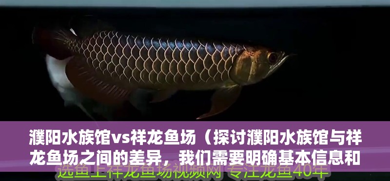濮陽水族館vs祥龍魚場（探討濮陽水族館與祥龍魚場之間的差異，我們需要明確基本信息和特點）