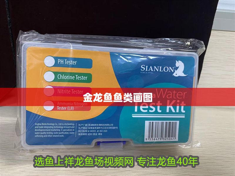 金龍魚魚類畫圖