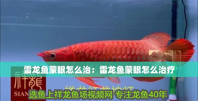 雷龍魚蒙眼怎么治：雷龍魚蒙眼怎么治療