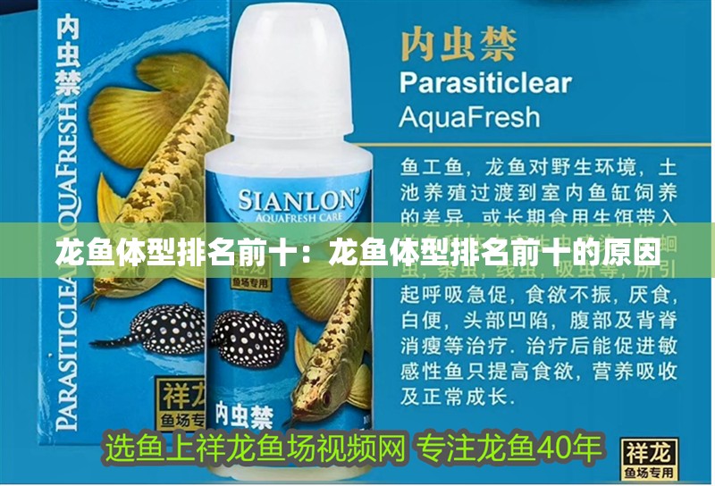 龍魚體型排名前十：龍魚體型排名前十的原因