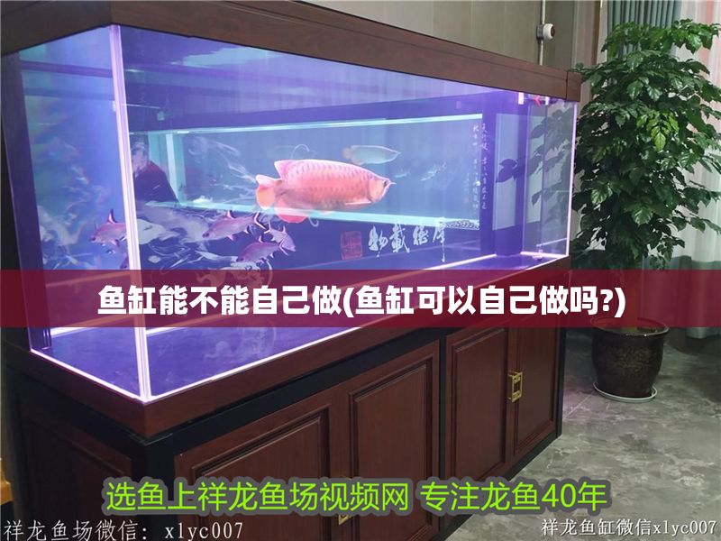 魚缸能不能自己做(魚缸可以自己做嗎?)