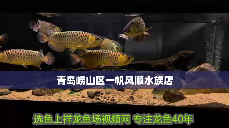 青島嶗山區(qū)一帆風順水族店
