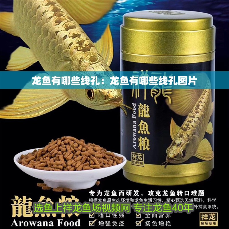 龍魚有哪些線孔：龍魚有哪些線孔圖片