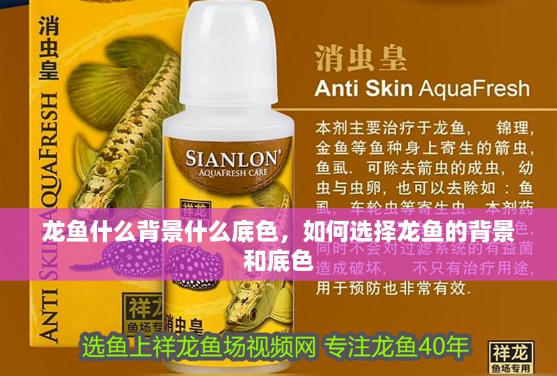 龍魚什么背景什么底色,如何選擇龍魚的背景和底色 龍魚百科 第2張 龍魚什么背景什么底色,如何選擇龍魚的背景和底色 龍魚什么背景什么底色,如何選擇龍魚的背景和底色 龍魚百科 第2張