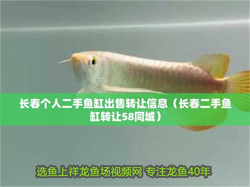 長春個人二手魚缸出售轉讓信息（長春二手魚缸轉讓58同城）