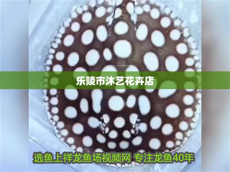 樂陵市沐藝花卉店