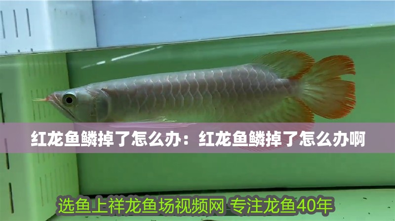 濟南回收二手魚缸上門回收電話（ 濟南回收二手魚缸上門回收電話多少）