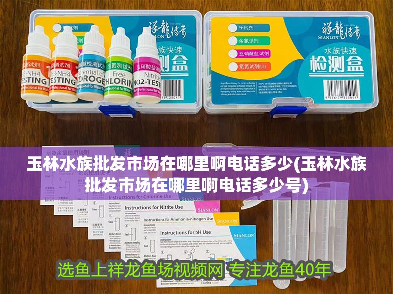 玉林水族批發(fā)市場(chǎng)在哪里啊電話(huà)多少(玉林水族批發(fā)市場(chǎng)在哪里啊電話(huà)多少號(hào))