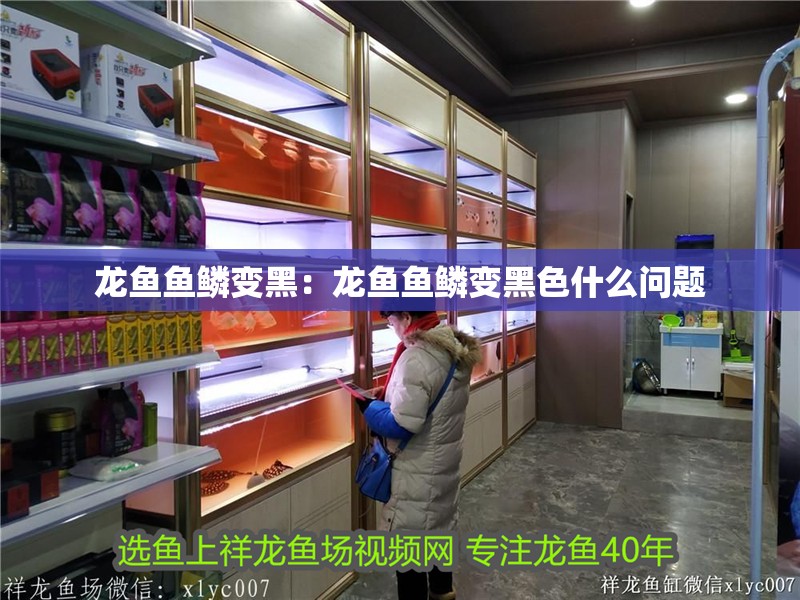 龍魚魚鱗變黑：龍魚魚鱗變黑色什么問題