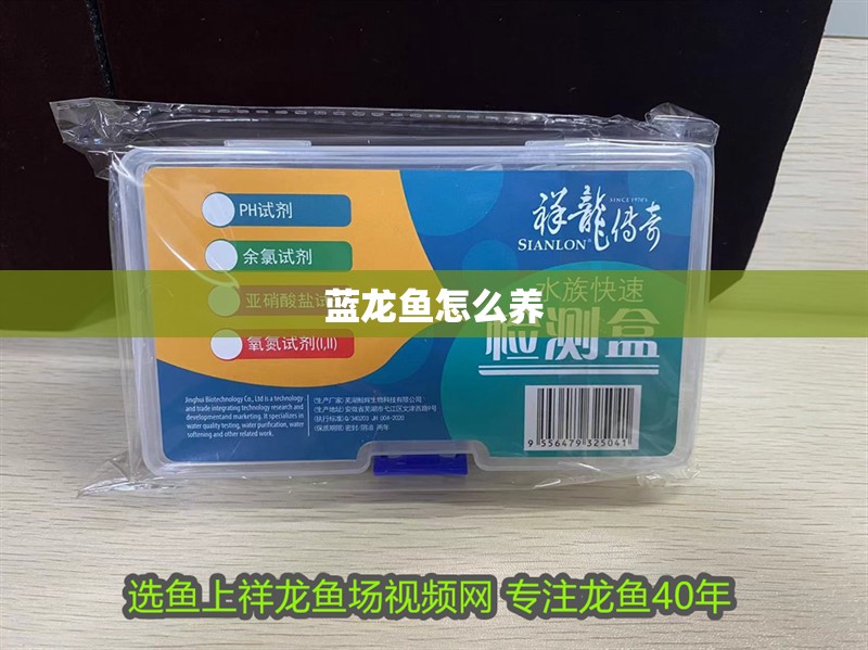 藍龍魚怎么養