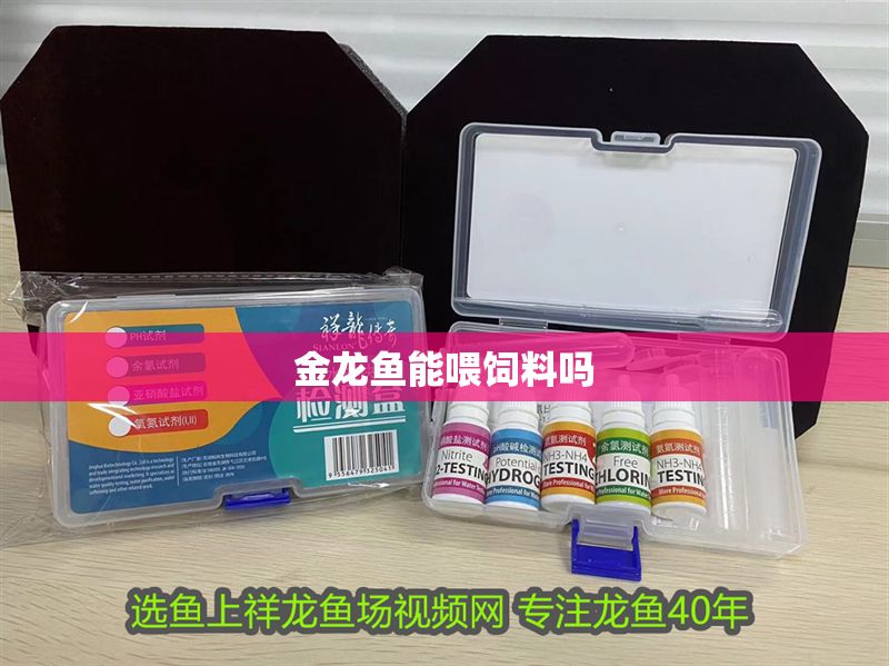 金龍魚能喂飼料嗎