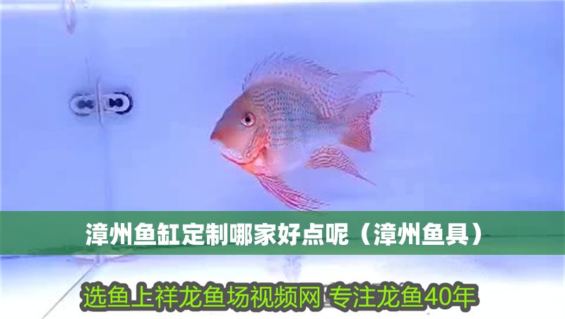 漳州魚缸定制哪家好點呢（漳州魚具）