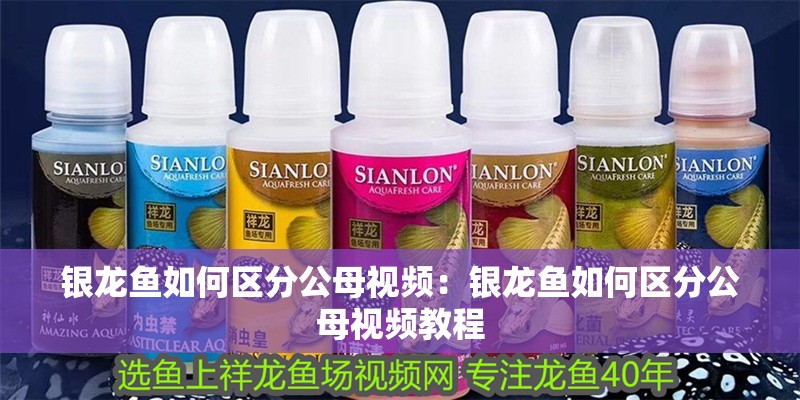 銀龍魚如何區分公母視頻：銀龍魚如何區分公母視頻教程