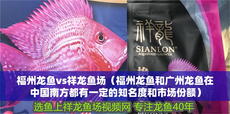 福州龍魚vs祥龍魚場（福州龍魚和廣州龍魚在中國南方都有一定的知名度和市場份額）