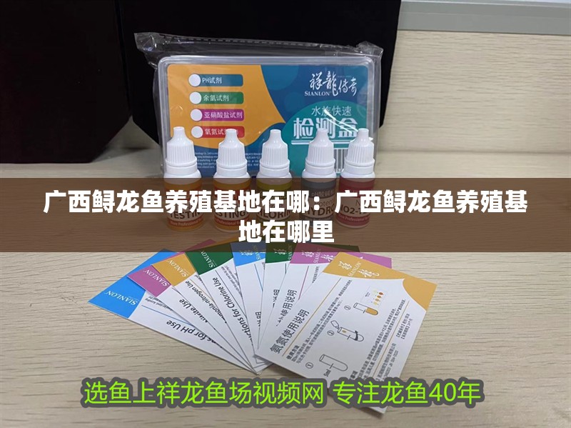 廣西鱘龍魚養殖基地在哪：廣西鱘龍魚養殖基地在哪里