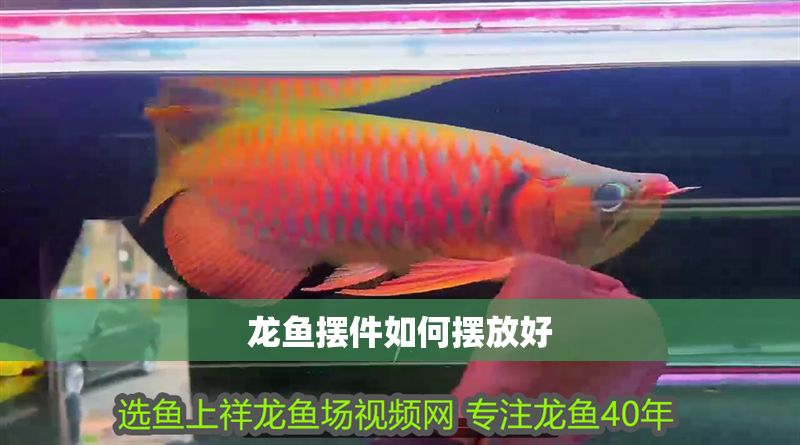龍魚擺件如何擺放好