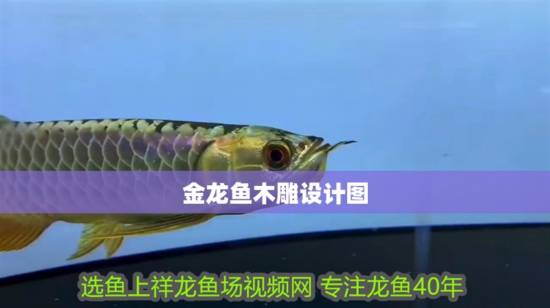 金龍魚木雕設計圖