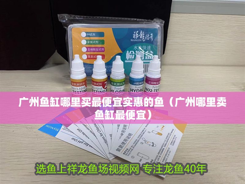 廣州魚缸哪里買最便宜實惠的魚（廣州哪里賣魚缸最便宜）