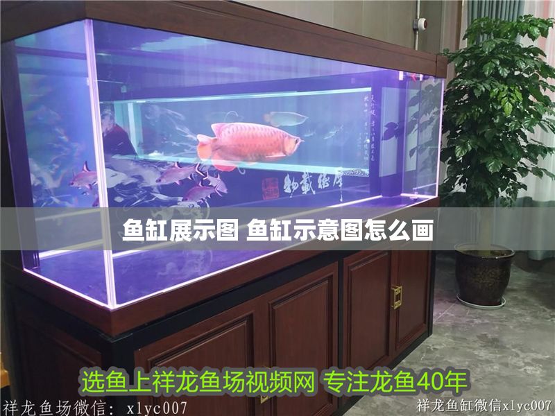 魚缸展示圖 魚缸示意圖怎么畫
