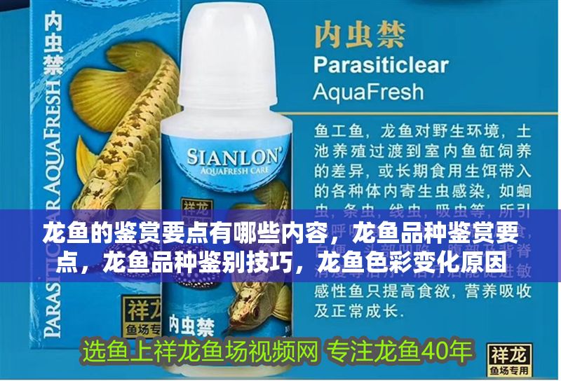 龍魚的鑒賞要點有哪些內容，龍魚品種鑒賞要點，龍魚品種鑒別技巧，龍魚色彩變化原因