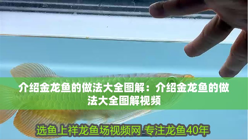 介紹金龍魚的做法大全圖解：介紹金龍魚的做法大全圖解視頻