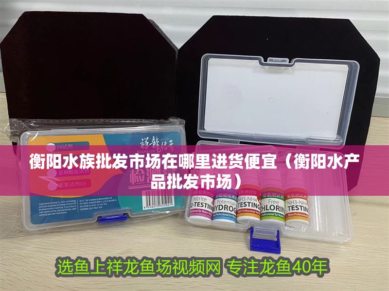 衡陽水族批發(fā)市場在哪里進(jìn)貨便宜（衡陽水產(chǎn)品批發(fā)市場）