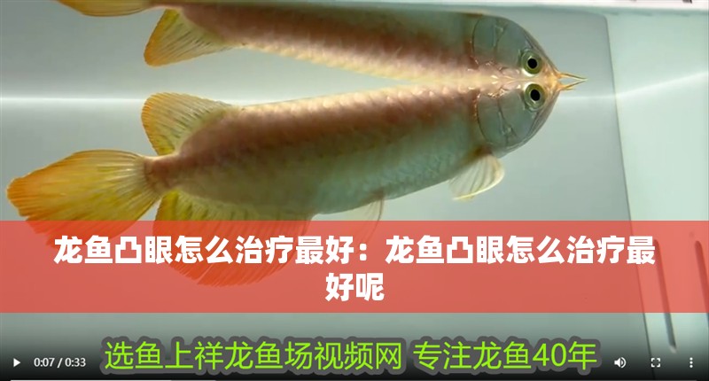龍魚凸眼怎么治療最好：龍魚凸眼怎么治療最好呢