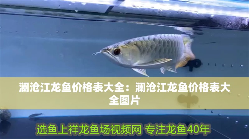 瀾滄江龍魚(yú)價(jià)格表大全：瀾滄江龍魚(yú)價(jià)格表大全圖片
