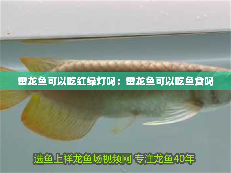 安陽水族館博特智能插排問題