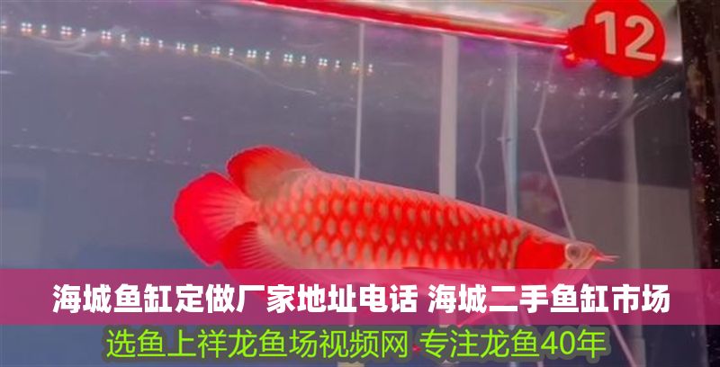 海城魚缸定做廠家地址電話 海城二手魚缸市場
