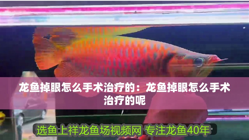 龍魚掉眼怎么手術治療的：龍魚掉眼怎么手術治療的呢