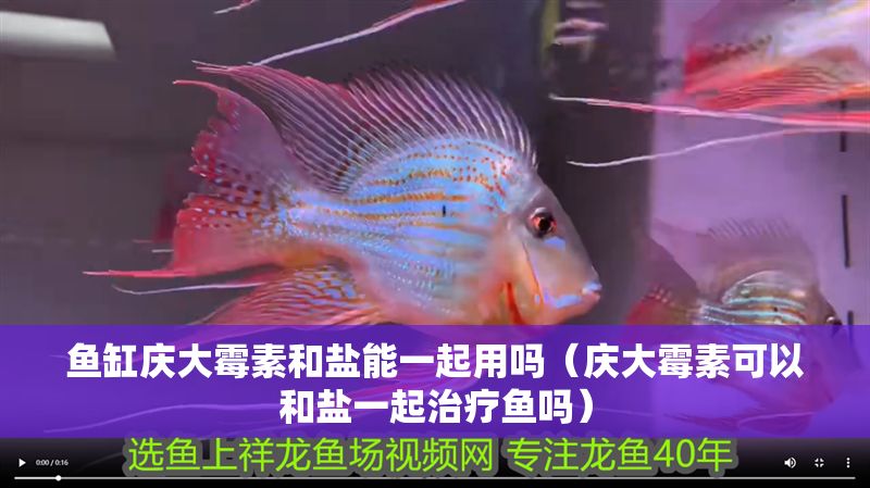 魚缸慶大霉素和鹽能一起用嗎（慶大霉素可以和鹽一起治療魚嗎）