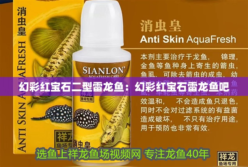 幻彩紅寶石二型雷龍魚：幻彩紅寶石雷龍魚吧