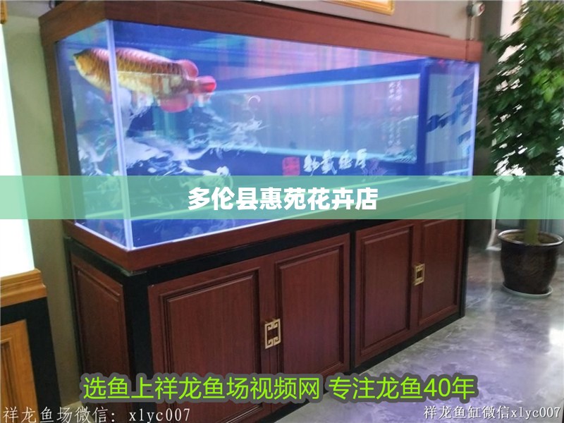多倫縣惠苑花卉店