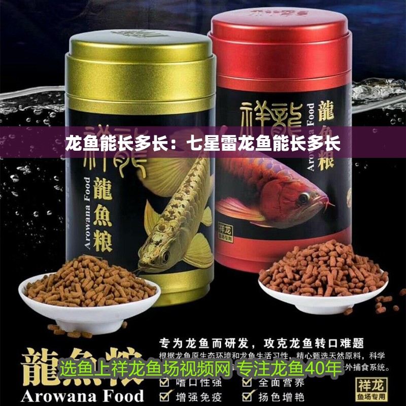 龍魚能長多長：七星雷龍魚能長多長