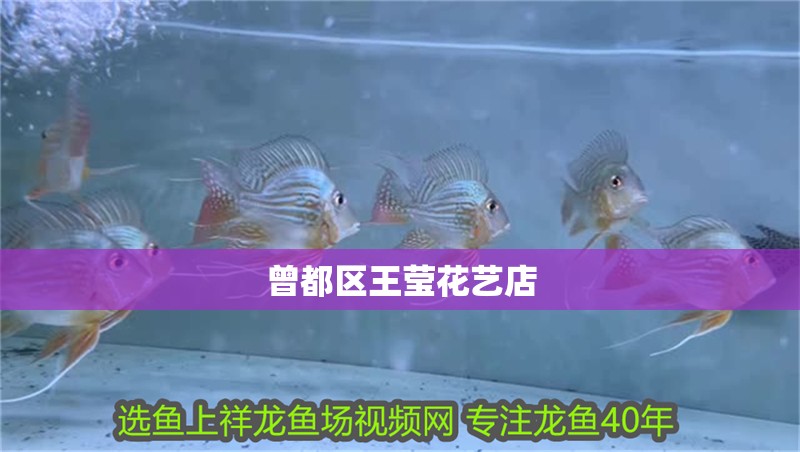 曾都區王瑩花藝店