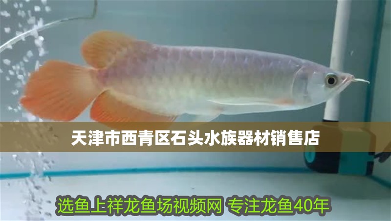 天津市西青區石頭水族器材銷售店