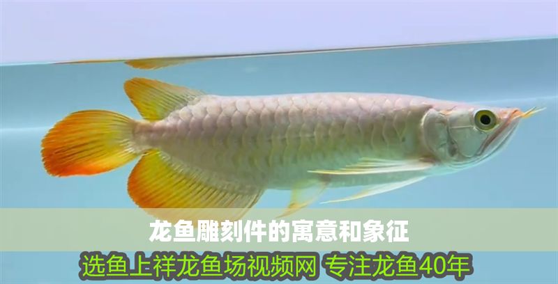 龍魚雕刻件的寓意和象征
