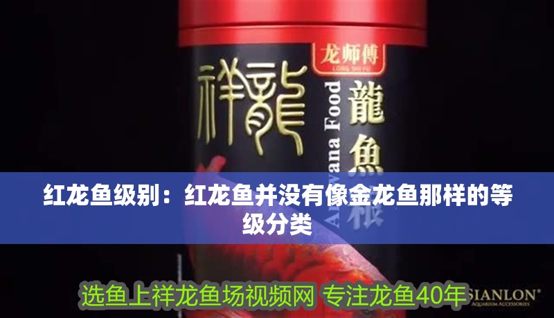 紅龍魚級別：紅龍魚并沒有像金龍魚那樣的等級分類