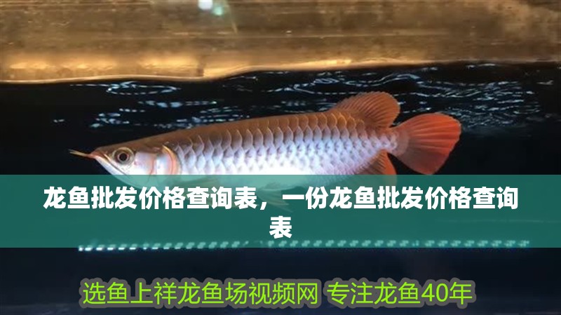 龍魚批發(fā)價格查詢表，一份龍魚批發(fā)價格查詢表
