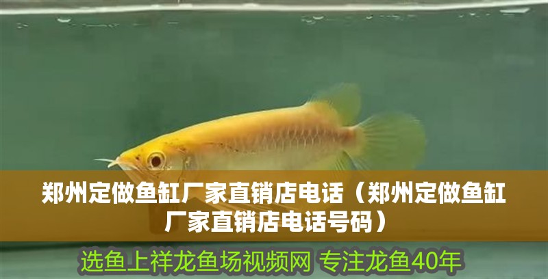 鄭州定做魚缸廠家直銷店電話（鄭州定做魚缸廠家直銷店電話號碼）