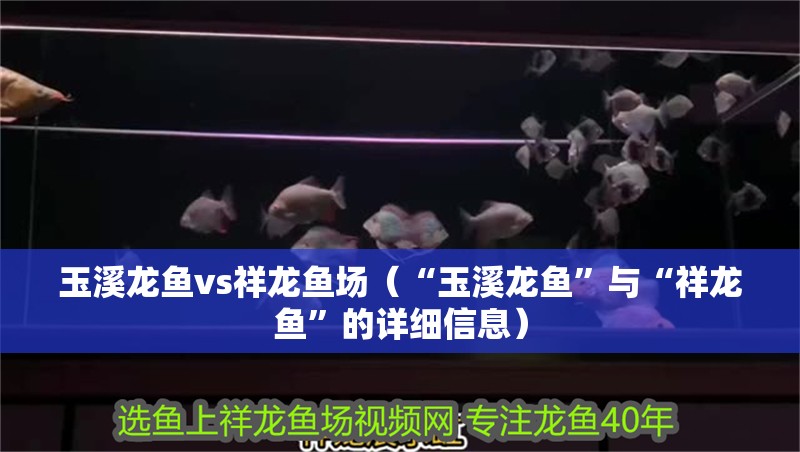 <strong><mark>玉溪</mark></strong>龍魚vs祥龍魚場（“<strong><mark>玉溪</mark></strong>龍魚”與“祥龍魚”的詳細(xì)信息）