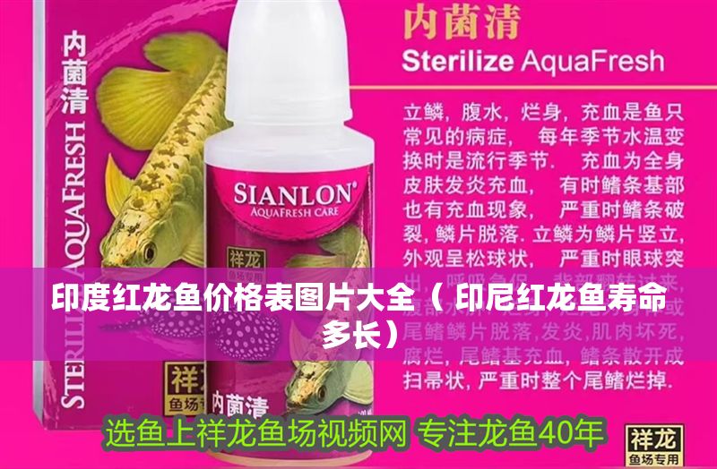 印度紅龍魚(yú)價(jià)格表圖片大全（ 印尼紅龍魚(yú)壽命多長(zhǎng)）