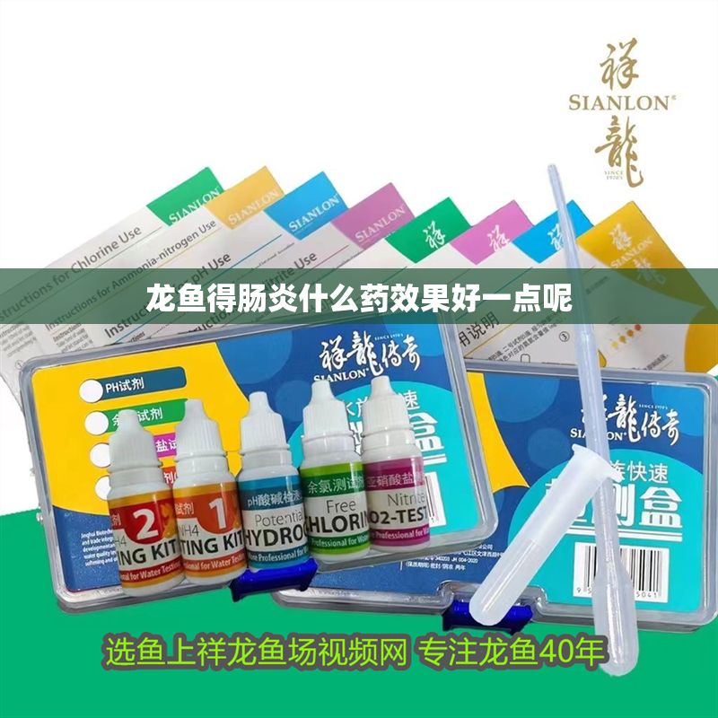 龍魚得腸炎什么藥效果好一點呢