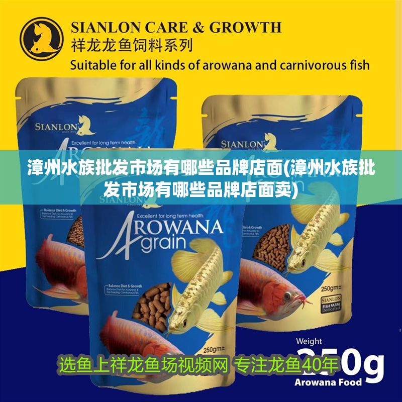 漳州水族批發(fā)市場有哪些品牌店面(漳州水族批發(fā)市場有哪些品牌店面賣)