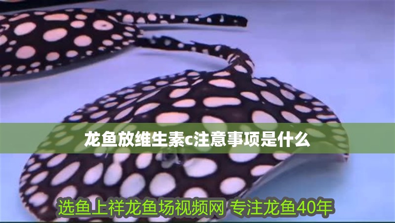 龍魚放維生素c注意事項是什么